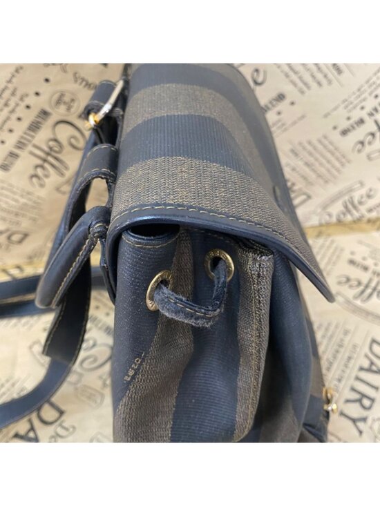 Fendi Vintage Pecan Backpack Brown main image 12